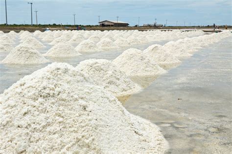 Marine Salt Farm Stock Photo Image Of Thailand Extensive 24731510