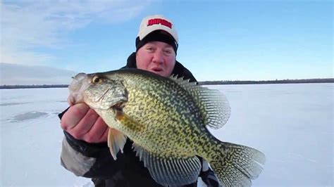 Slab Crappies On The Ice Youtube