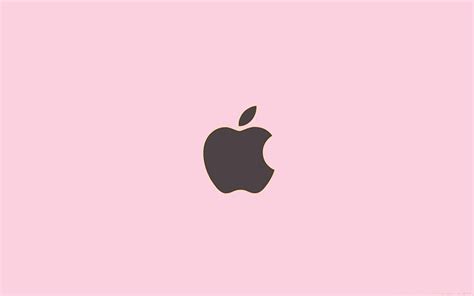 Rose Gold Apple Ipad Pink Apple Hd Wallpaper Pxfuel