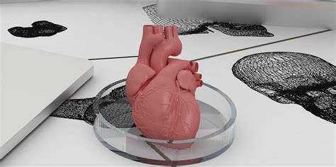 Bioengineer Reveals The Biggest Challenge To 3d Printing Organs
