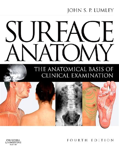 Surface Anatomy Edition 4 By John S P Lumley Ms Frcs Dmcc