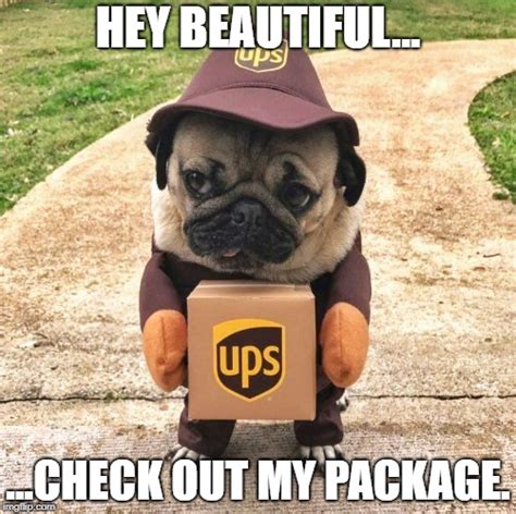 Check Out My Package Imgflip