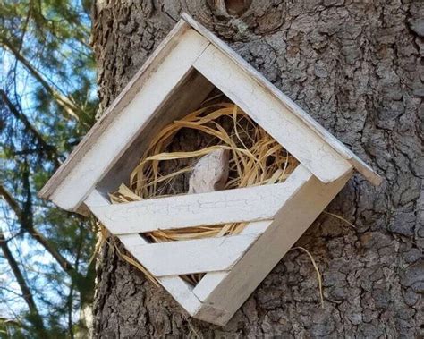 Excited To Share The Latest Addition To My Etsy Shop Dove Nesting Box
