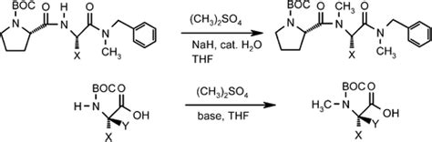 An Efficient And Practical N Methylation Of Amino Acid Derivatives Organic Letters