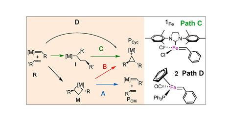 Reactivity Of Metal Carbenes With Olefins Theoretical Insights On The