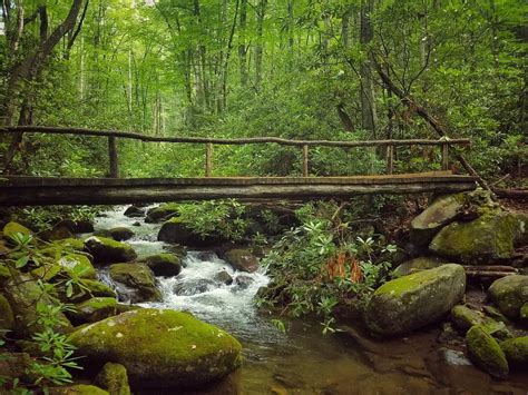 A Visitors Guide To Hiking Cherokee Nc Cherokee Nc