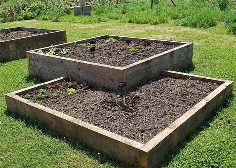 20 Square Foot Raised Garden Beds Ideas To Consider Sharonsable