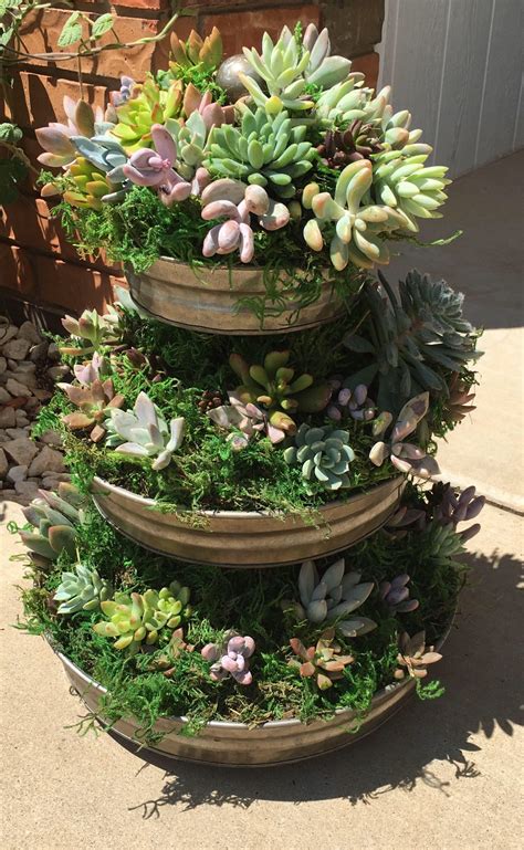 Pin By Cammie Ward On Living Room Decor Ideas Succulent Garden Design