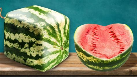 Maybe you would like to learn more about one of these? 34 TANTANGAN KREASI BUAH || KIAT MAKANAN KEREN - YouTube