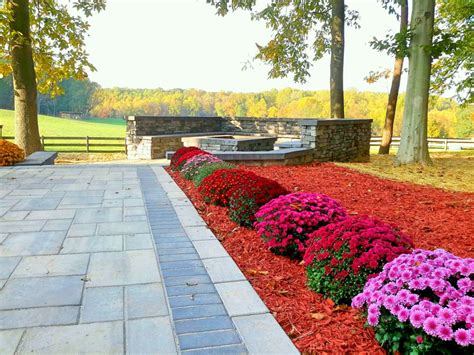 How To Select The Best Fall Plants Chesapeake Landscapes