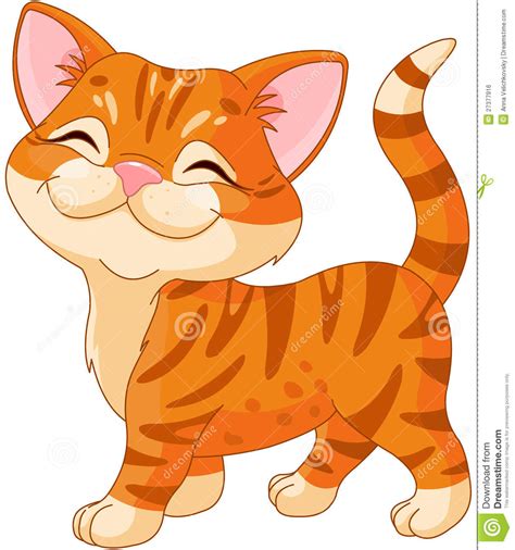 Cute Kitten Royalty Free Stock Image Image 27377916