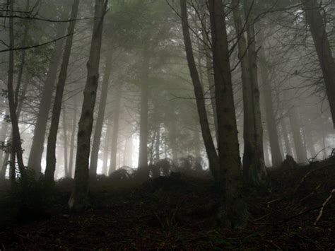 The Haunted Hike In Massachusetts That Will Send You Running For The