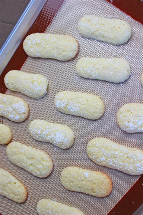 Perfect for your next tiramisu or charlotte recipe! Lady Fingers Sponge Cake Recipe - Gretchen's Bakery ...