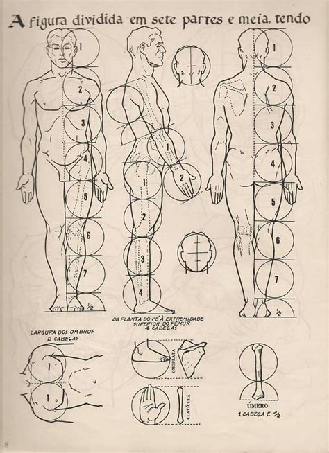 Pin By Tugay Günel On Anatomy Draw Art Drawing Proportions Anatomy