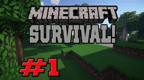Minecraft Let´s Play 1 Těžení Surovin Youtube
