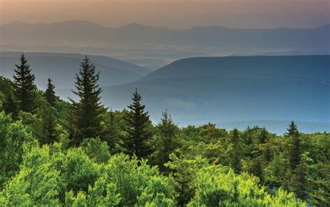 Caring For Pennsylvanias Private Forests — Penn State College Of