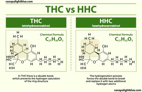 Hhc All You Need To Know On This New Cannabinoid