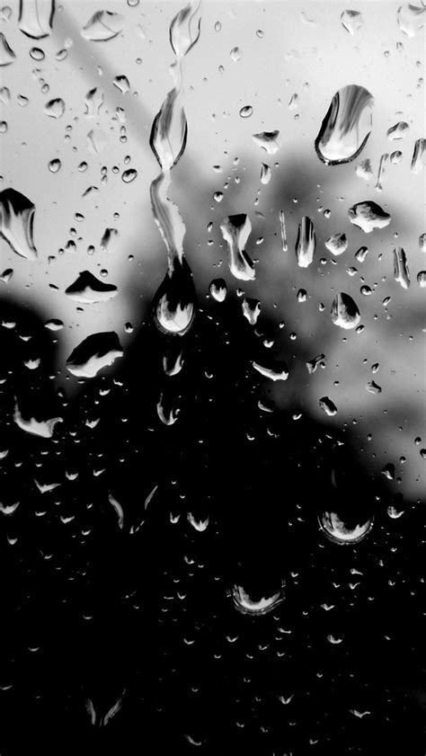 These 1076 4k iphone wallpapers are free to download for your iphone 11. 48+ Black and White Phone Wallpapers on WallpaperSafari