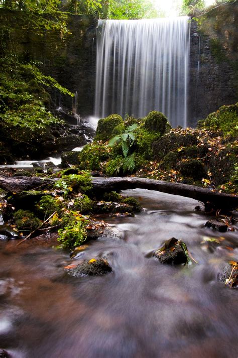 Free Download Hd Wallpaper Waterfalls And Green Leafed Trees
