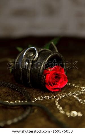 Red Rose And Bdsm Toys Stock Image Everypixel