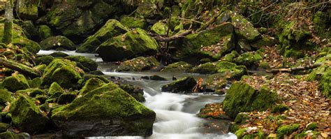 Download Wallpaper 2560x1080 River Stones Rocks Moss Landscape Dual