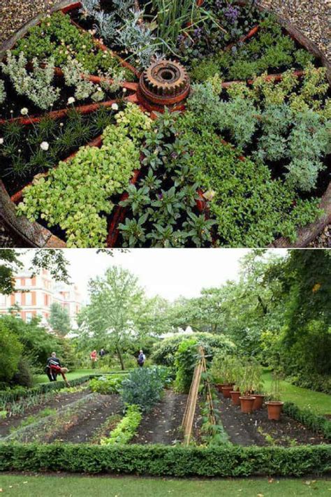Designing The Ultimate Eco Friendly Garden 10