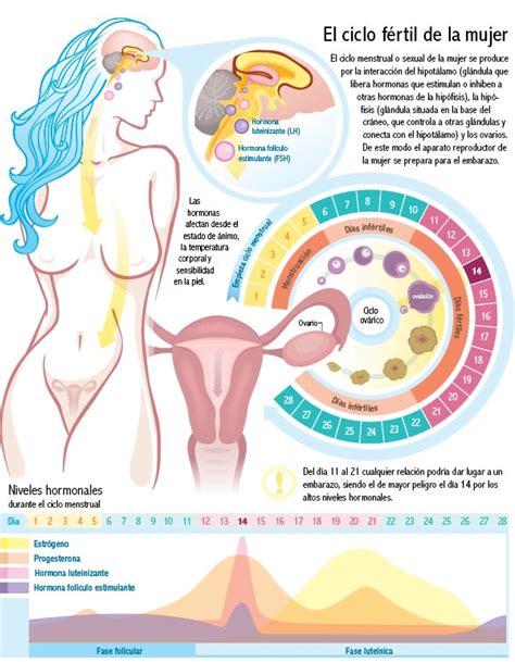 Cada 8 de marzo se conmemora el día internacional de la mujer: La mujer y su ciclo | Revista Amiga