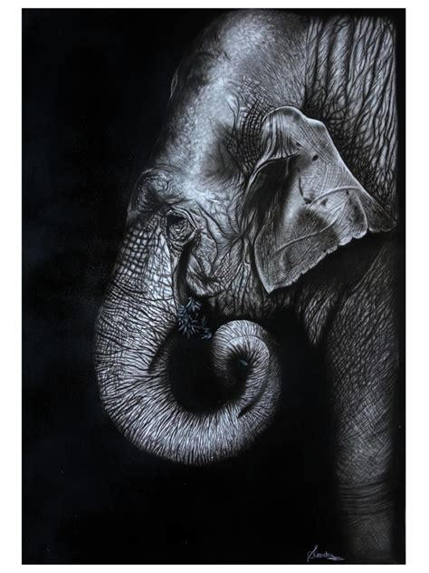 Elephant In The Dark Charcoal On Sheet Painting By Sanchita