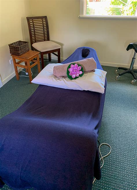 Finch Therapy At Toowooombas Aroma Touch Massage And Relaxation Centre
