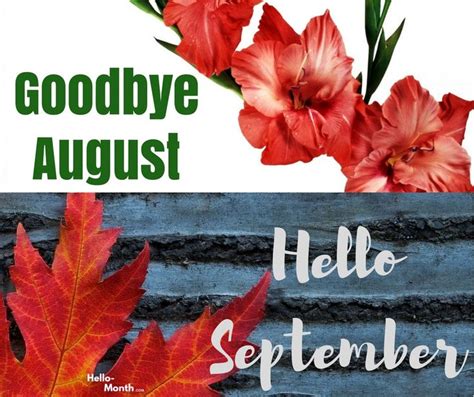 Goodbye August Hello September  Hello September Welcome September