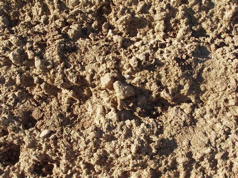 Free Dirt Texture Stock Photo