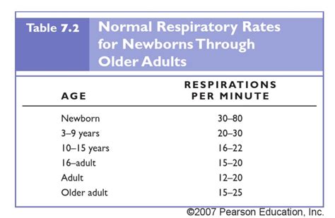 Table Respiration Rate Respiratory System Blood Pressure