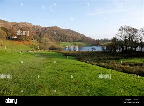 Loughrigg Tarn Over Looked By Ivy Crag Lake District Cumbria Uk