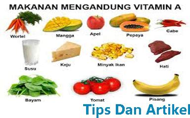 Biasa vitamin c terdapat dalam buah buahan terutama buah jeruk. Makanan Yang Mengandung Vitamin A | Tips Dan Artikel