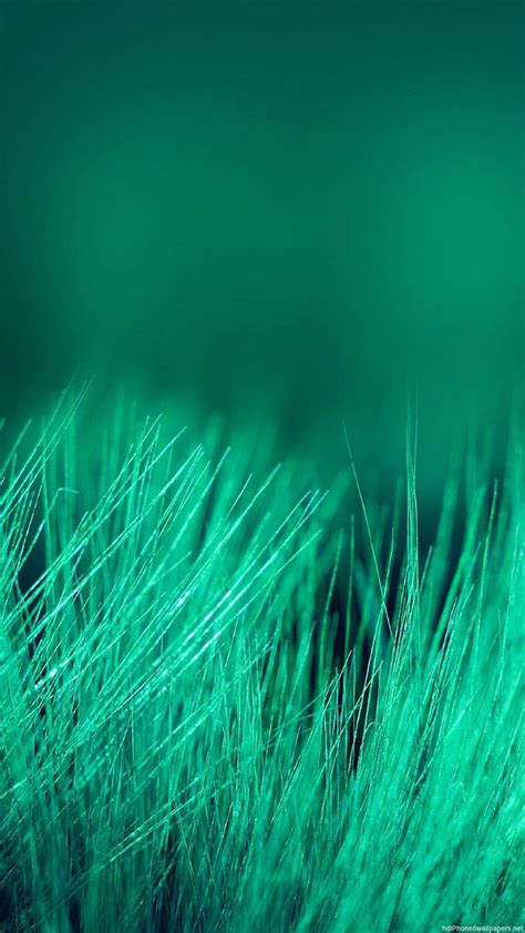 8k uhd tv 16:9 ultra high definition 2160p 1440p 1080p 900p 720p ; 1080p Laptop Wallpapers (57+ images)