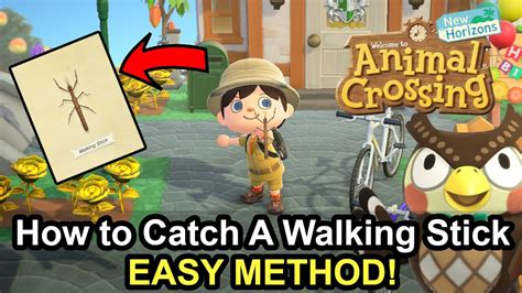 Acnh How To Catch The Walking Stick Easy Method Youtube