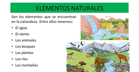 Elementos Naturales Y Elementos Sociales Ejemplos Diferencias Images