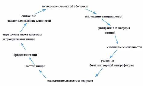 Диета геморрагический гастрит Геморрагический гастрит: что это такое, симптомы, причины, лечение и диета Геморрагический гастрит: что это такое, симптомы, причины, лечение и диета Диета геморрагический гастрит