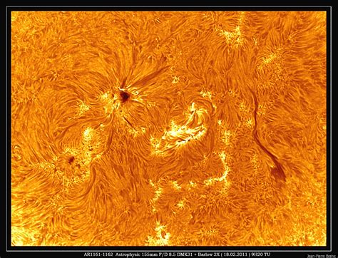 Sun Surface Close Up Image Captures Stunning View Of Suns Active