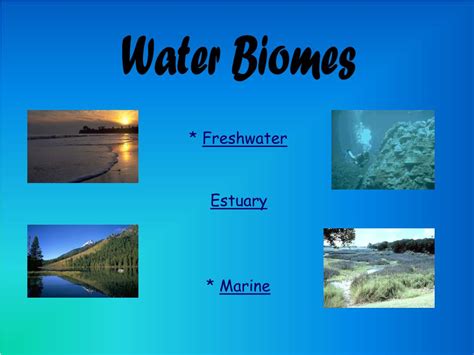 Ppt Water Biomes Powerpoint Presentation Free Download Id2436202