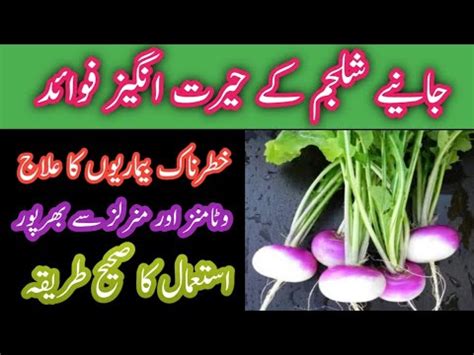 Health Benefits Of Turnip Shalgam Shaljam Ke Fayde In Urdu Hindi SMW