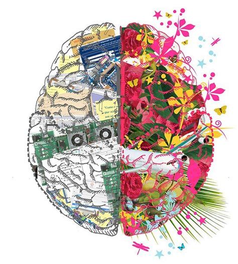 The Left And Right Side Of A Brain With Flowers Butterflies And Other