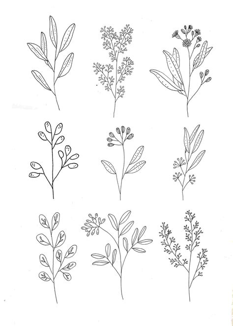 Simple Flower Line Drawing At Explore Collection