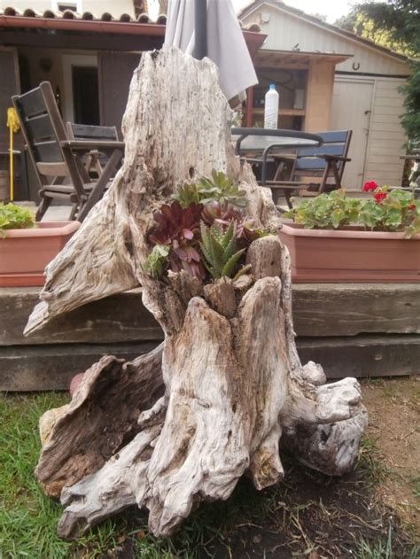 20 Driftwood Ideas For Garden
