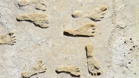 The Oldest Human Footprints In North America Are At Least 21500 Years