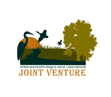 Upper Missgreat Lakes Jv Established Migratory Bird Joint Ventures