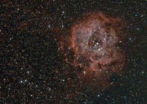 Rosette Nebula Astrophotography