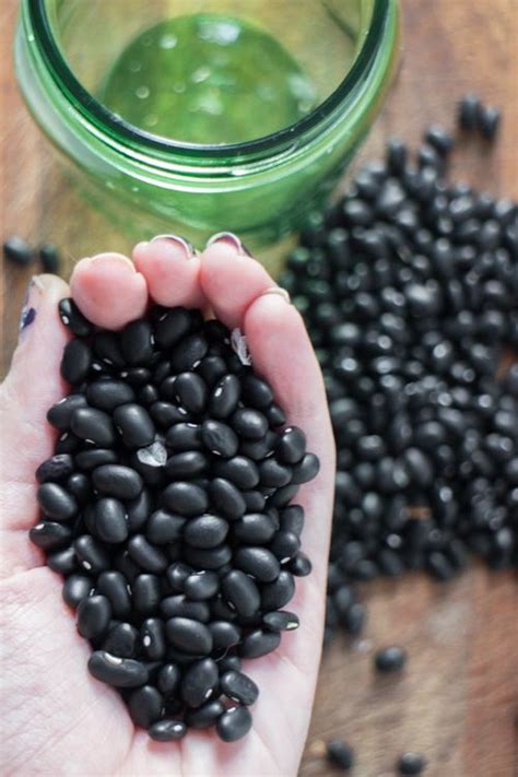 How To Grow Black Bean Plants From Seeds In Your Vegetable Garden