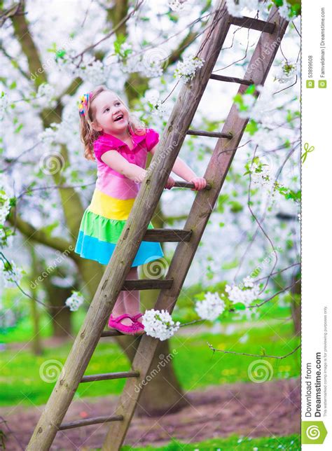 Meisje Op Een Ladder In De Tuin Van De Appelboom Stock Foto Image Of