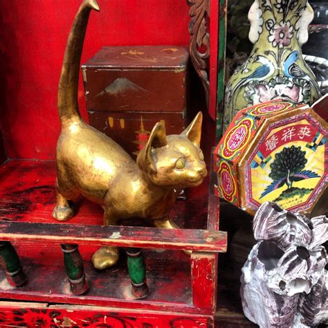 pretty kitty golden kitten in her red shrine meow pretty cats kitty kitten